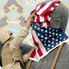 Cpl. Edward Chin of the 3rd battalion, 4th Marines regiment, set up the American flag on the face of the giant Saddam Hussein's statue before pulling it down, central Baghdad, April 9, 2003.